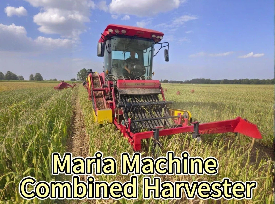 20250509193143 20250509193143