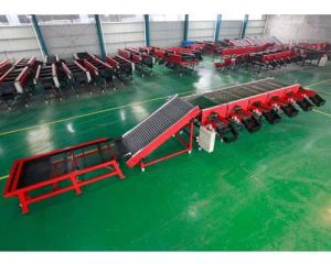 Sarimsoq qiyoslash mashinasi