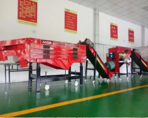 Sarimsoq urug'lari Sub-mashinasi