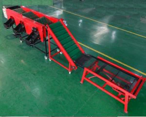 Sarimsoqni saralash uskunasi